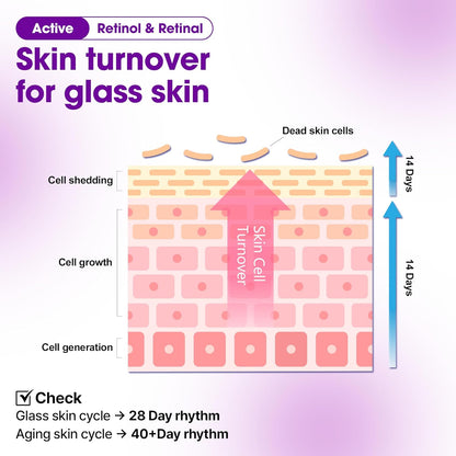 Retinol + Bakuchiol Renewal Dual Cream